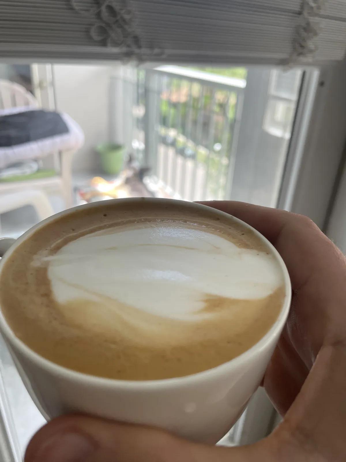 Cappuccino